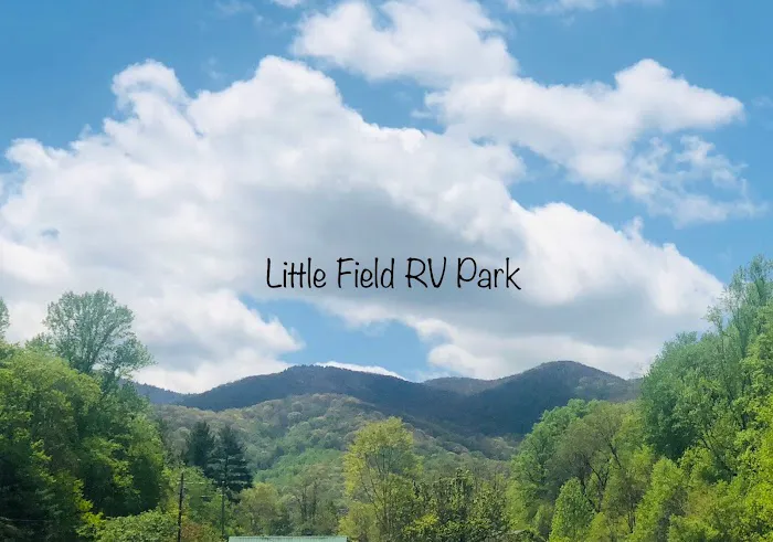 Little Field RV Park Picture 4