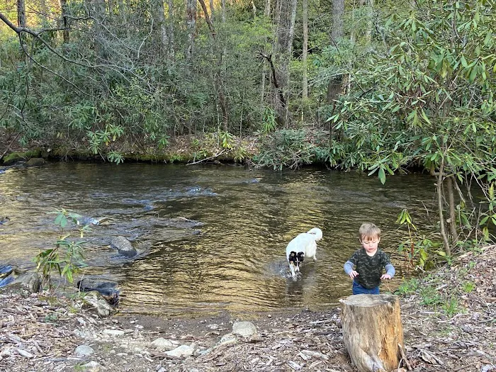 Little Field RV Park Picture 6