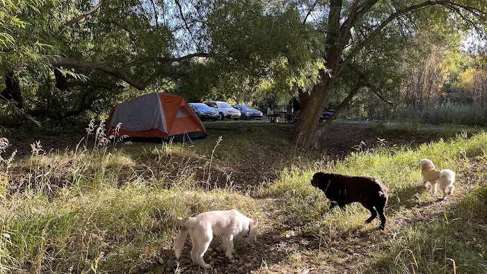 Eagle Park & Campground Picture 6