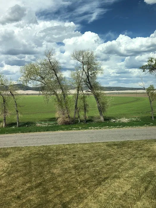 Chokecherry Campground St.anthony sand dunes Picture 2