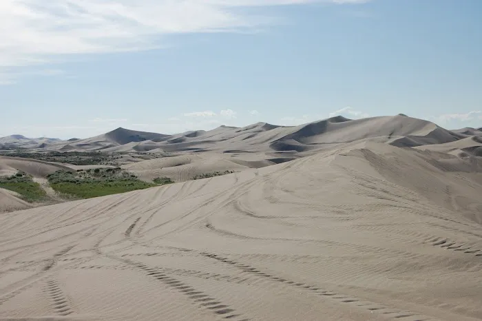Chokecherry Campground St.anthony sand dunes Picture 7