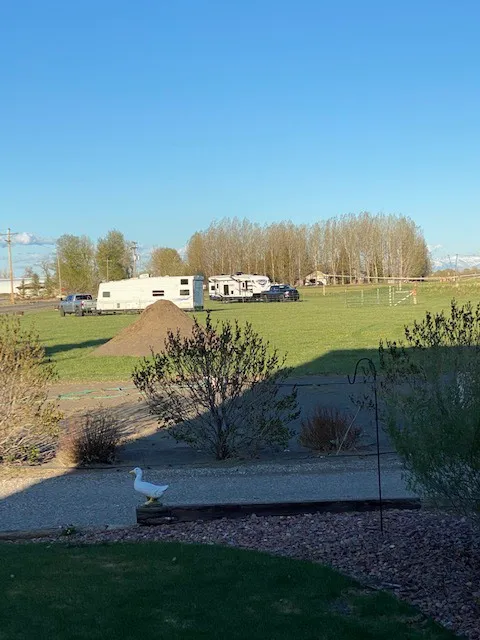 Chokecherry Campground St.anthony sand dunes Picture 4