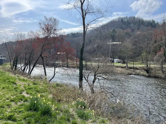 Speckled Trout River Club and RV Park Picture 5