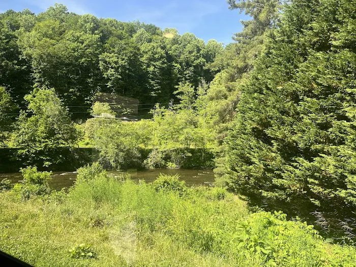 Speckled Trout River Club and RV Park Picture 4