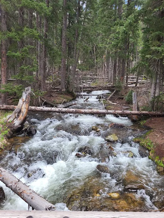 Reunion Flat Group Campground Picture 5