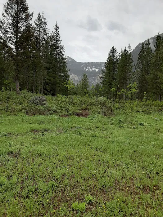 Reunion Flat Group Campground Picture 8