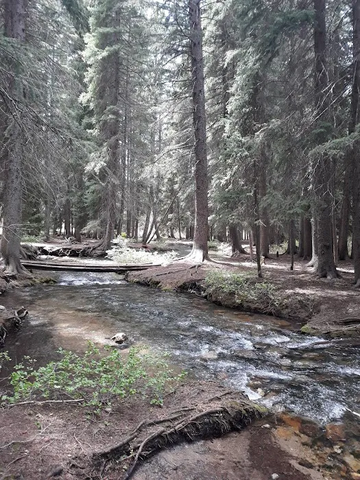 Reunion Flat Group Campground Picture 9