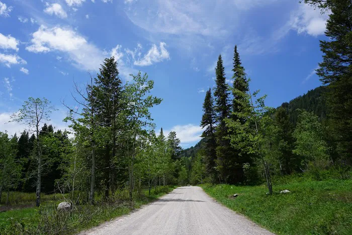 Teton Canyon Campground Picture 1