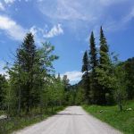 Teton Canyon Campground