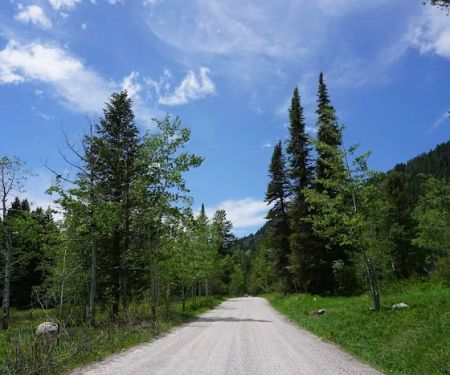 Teton Canyon Campground