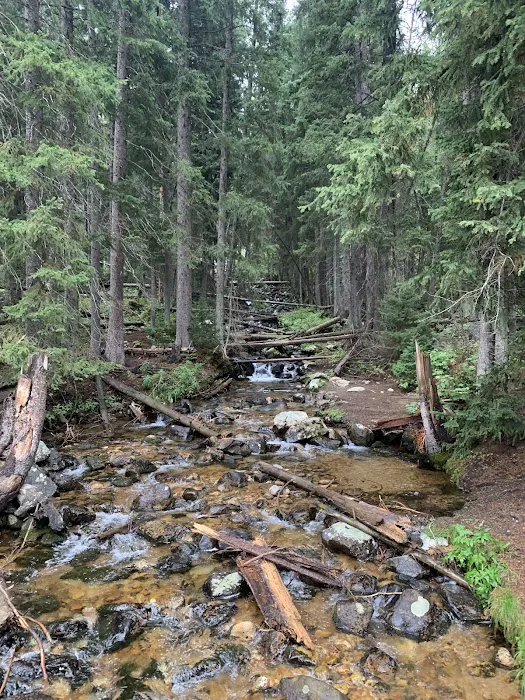 Teton Canyon Campground Picture 8