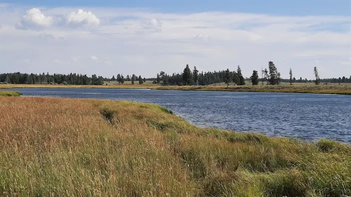 Warm Slough Campsite Picture 5
