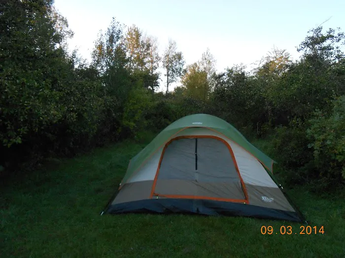 Warm Slough Campsite Picture 1