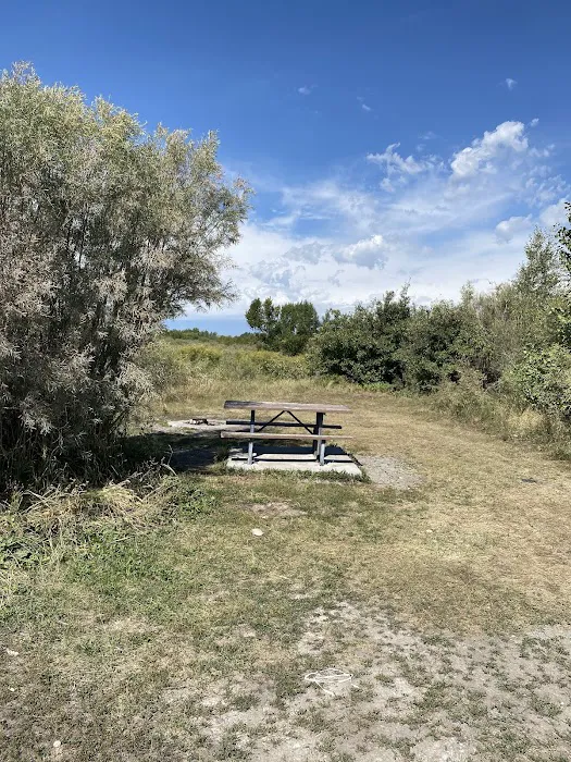 Warm Slough Campsite Picture 10