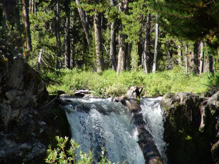 Firehole Falls Campground Picture 3