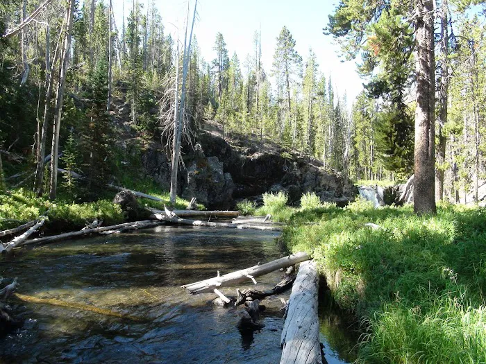 Firehole Falls Campground Picture 2