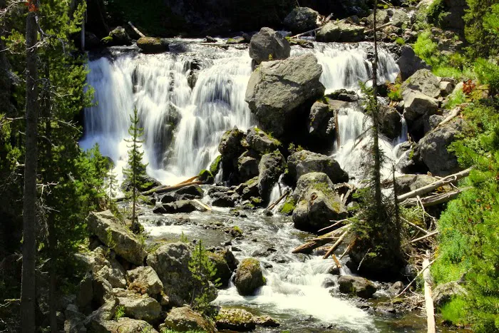 Firehole Falls Campground Picture 5