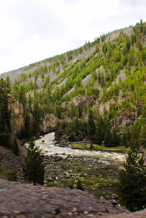 Firehole Falls Campground Picture 8