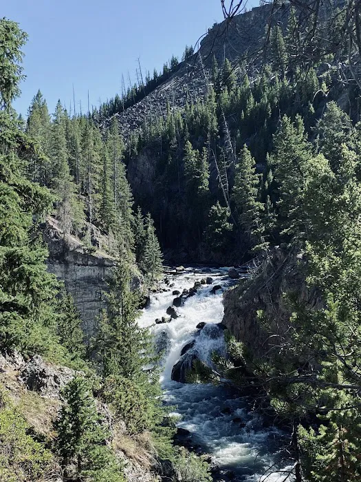 Firehole Falls Campground Picture 10