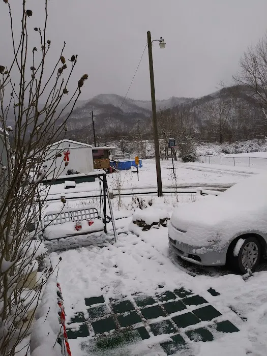 Holiday Acres Trailer Park Picture 7