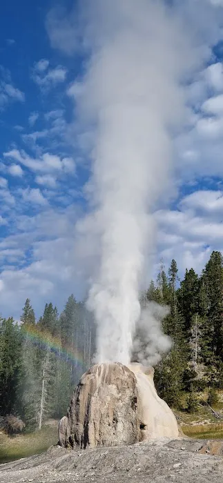 Lone Star Picture 10