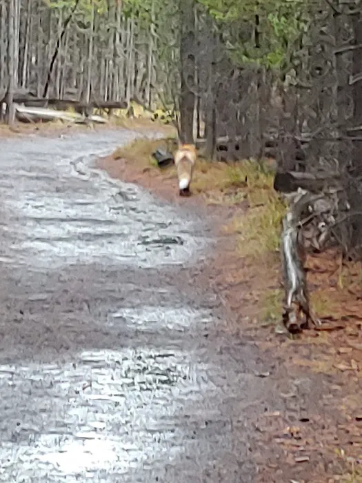 Fairy Meadows Picture 1