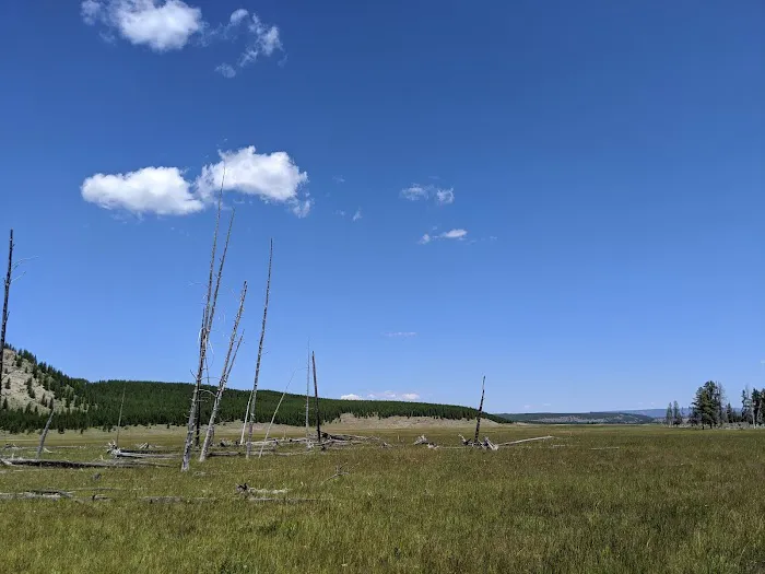 Imperial Meadows Campground Picture 7