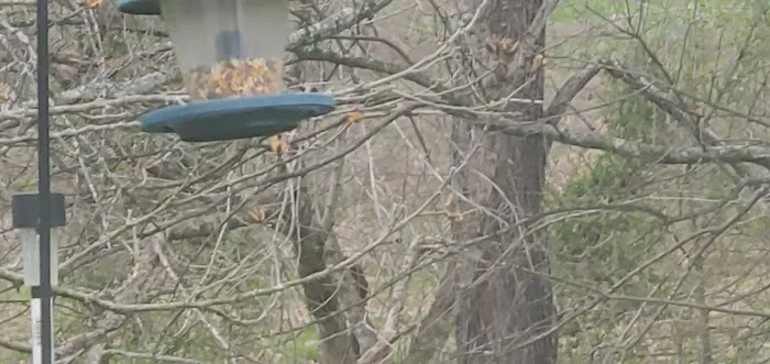 Deerfield Mobile Home Park Picture 3