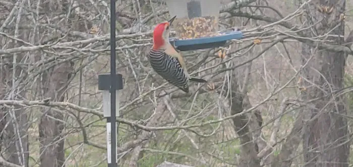 Deerfield Mobile Home Park Picture 8