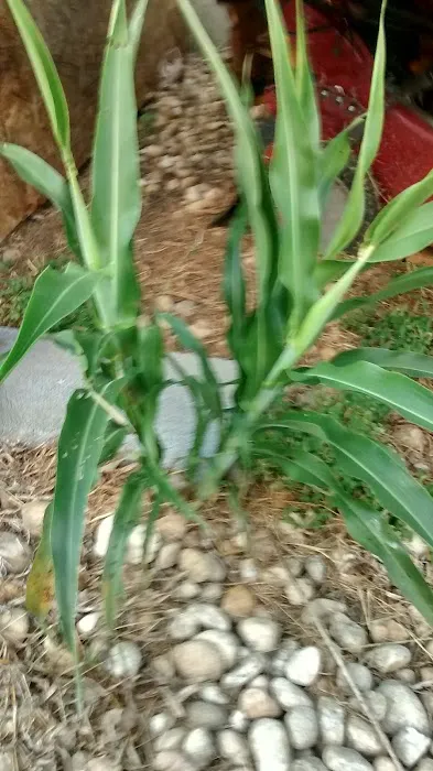 Deerfield Mobile Home Park Picture 9