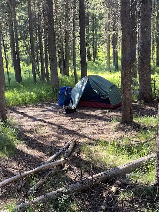 Moose Creek Picture 5