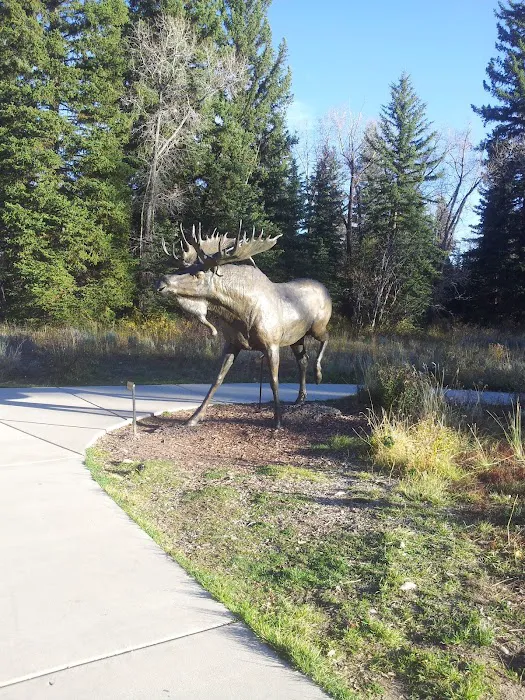 Moose Creek Picture 3