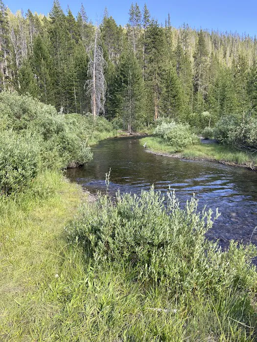 Moose Creek Picture 1