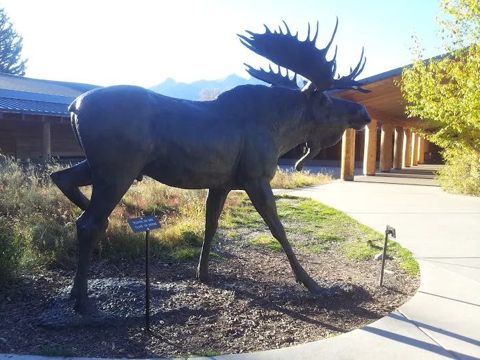 Moose Creek Picture 6