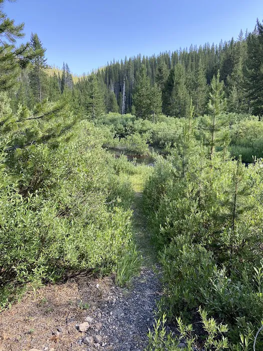 Moose Creek Picture 10