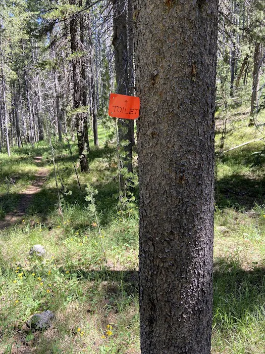 Moose Creek Picture 8