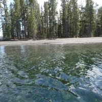 North Grizzly Beach 8S4 ico