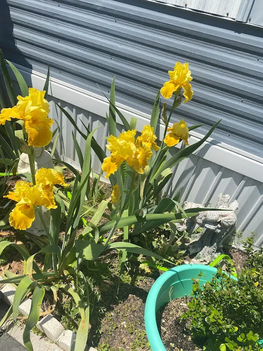 Rifle Range Estates MHC Picture 4