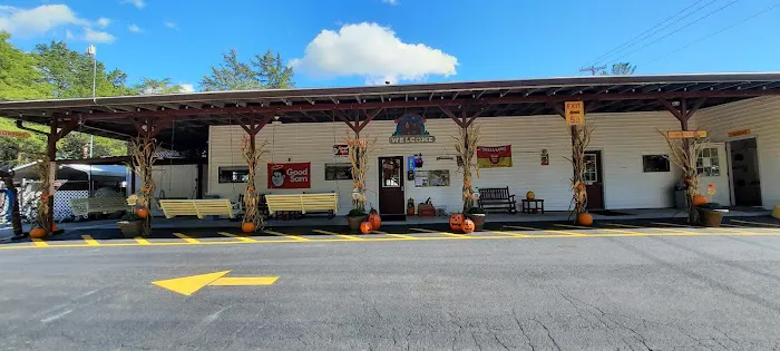 Volunteer Park Family Campground Picture 1