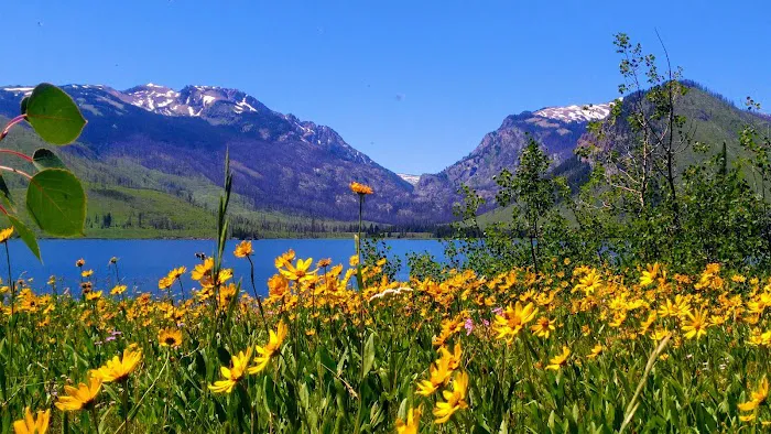 Lizard Creek Campground Picture 1