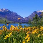 Lizard Creek Campground