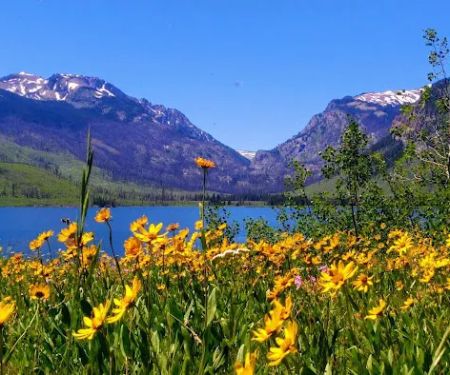 Lizard Creek Campground