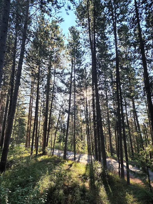 Lizard Creek Campground Picture 3