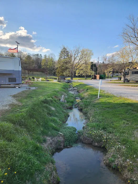 Raccoon Valley at Volunteer Park Picture 1