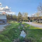 Raccoon Valley at Volunteer Park