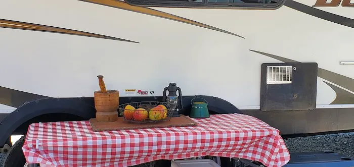 Raccoon Valley at Volunteer Park Picture 2