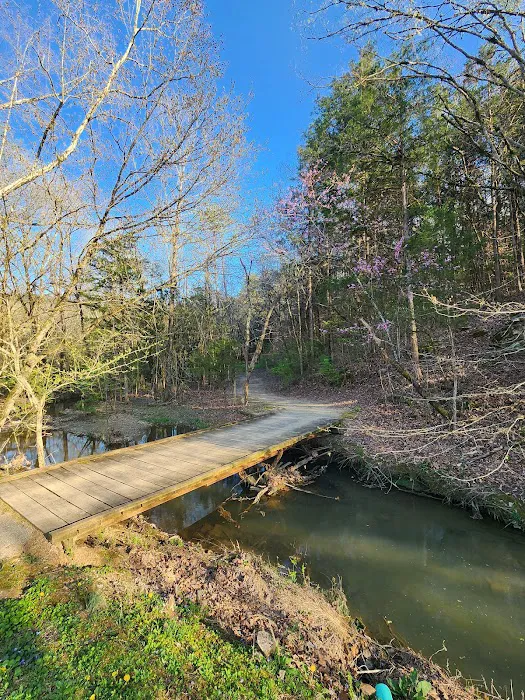 Raccoon Valley at Volunteer Park Picture 5