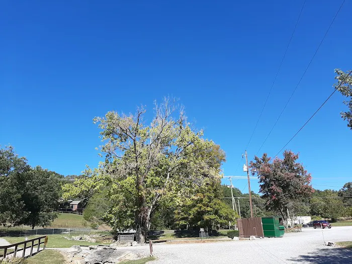 Raccoon Valley at Volunteer Park Picture 7