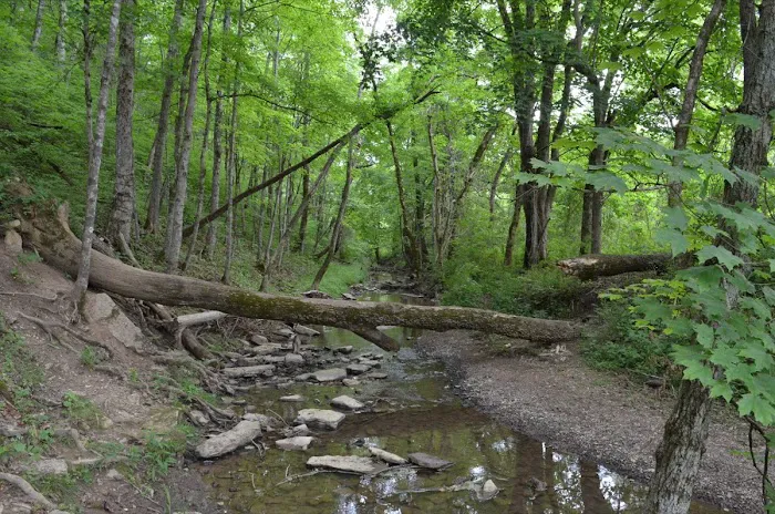 Bloomfield Hills Manufactured Home Community Picture 5