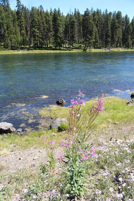 Snake River Picture 5